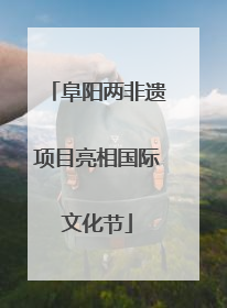 阜阳两非遗项目亮相国际文化节