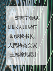 陈吉宁会见印尼大印尼行动党秘书长、人民协商会议主席穆扎尼