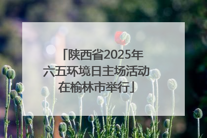 陕西省2025年六五环境日主场活动在榆林市举行