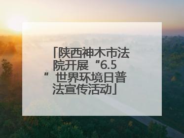 陕西神木市法院开展“6.5”世界环境日普法宣传活动