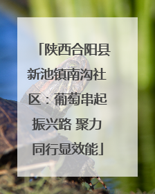 陕西合阳县新池镇南沟社区：葡萄串起振兴路 聚力同行显效能