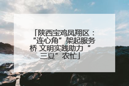 陕西宝鸡凤翔区：“连心角”架起服务桥 文明实践助力“三夏”农忙