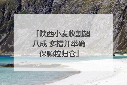 陕西小麦收割超八成 多措并举确保颗粒归仓