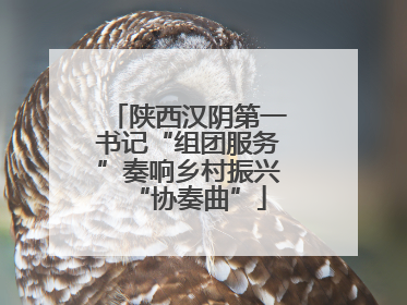 陕西汉阴第一书记“组团服务”奏响乡村振兴“协奏曲”