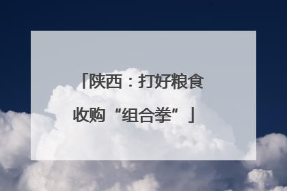 陕西：打好粮食收购“组合拳”