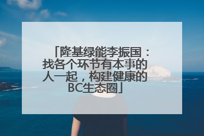 隆基绿能李振国：找各个环节有本事的人一起，构建健康的BC生态圈
