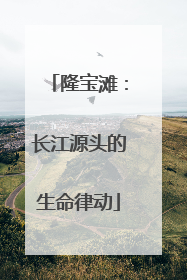 隆宝滩：长江源头的生命律动