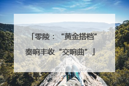 零陵：“黄金搭档”奏响丰收“交响曲”