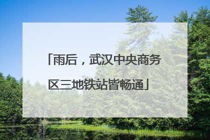 雨后，武汉中央商务区三地铁站皆畅通
