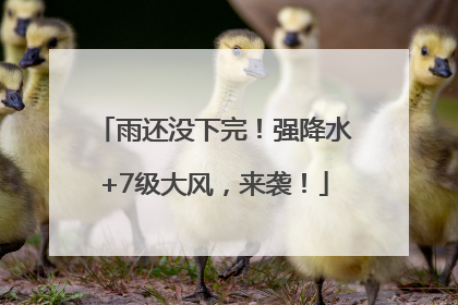雨还没下完！强降水+7级大风，来袭！