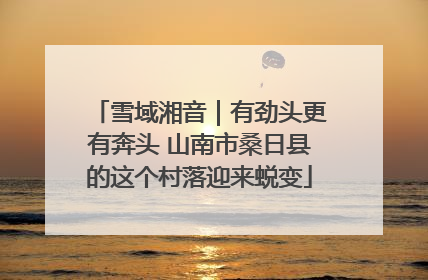 雪域湘音｜有劲头更有奔头 山南市桑日县的这个村落迎来蜕变
