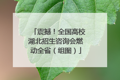 震撼！全国高校湖北招生咨询会燃动全省（组图）