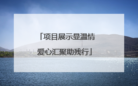 项目展示显温情 爱心汇聚助残行