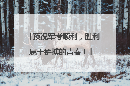预祝军考顺利，胜利属于拼搏的青春！