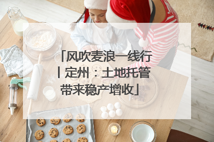 风吹麦浪一线行丨定州：土地托管带来稳产增收