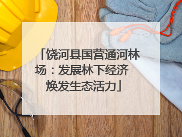 饶河县国营通河林场：发展林下经济 焕发生态活力