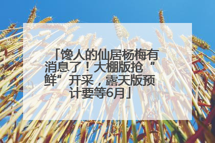 馋人的仙居杨梅有消息了！大棚版抢“鲜”开采，露天版预计要等6月