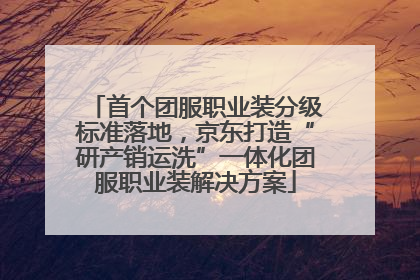 首个团服职业装分级标准落地，京东打造“研产销运洗”一体化团服职业装解决方案