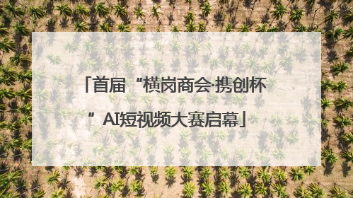 首届“横岗商会·携创杯”AI短视频大赛启幕