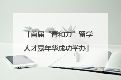 首届“青和力”留学人才嘉年华成功举办