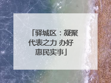驿城区：凝聚代表之力 办好惠民实事