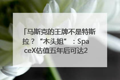 马斯克的王牌不是特斯拉？“木头姐”：SpaceX估值五年后可达2.5万亿美元！