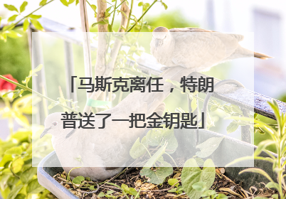 马斯克离任，特朗普送了一把金钥匙