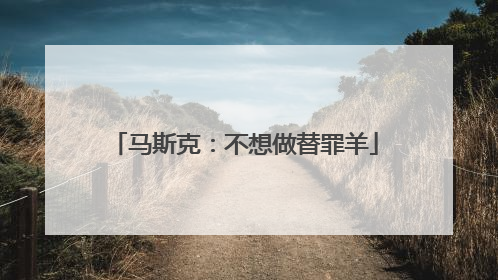 马斯克：不想做替罪羊