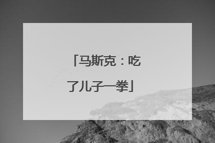 马斯克：吃了儿子一拳