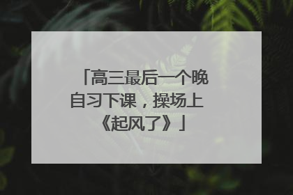 高三最后一个晚自习下课，操场上《起风了》