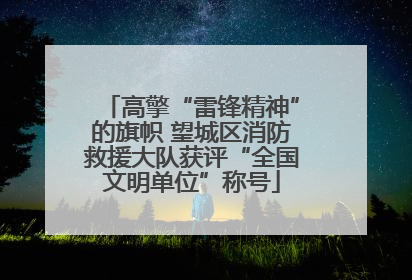 高擎“雷锋精神”的旗帜 望城区消防救援大队获评“全国文明单位”称号