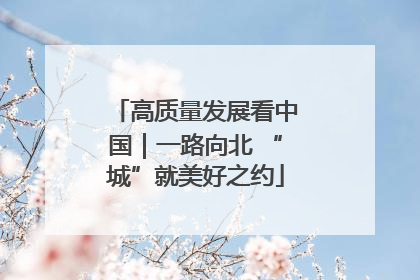 高质量发展看中国｜一路向北 “城”就美好之约