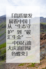 高质量发展看中国｜从“生态守护”到“碳汇生金”——中国石油大庆油田绿色蝶变
