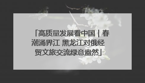 高质量发展看中国｜春潮涌界江 黑龙江对俄经贸文旅交流绿意盎然