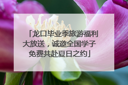 龙口毕业季旅游福利大放送，诚邀全国学子免费共赴夏日之约