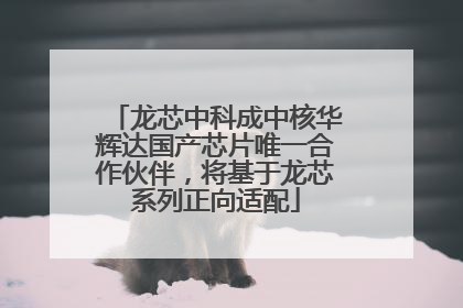 龙芯中科成中核华辉达国产芯片唯一合作伙伴，将基于龙芯系列正向适配