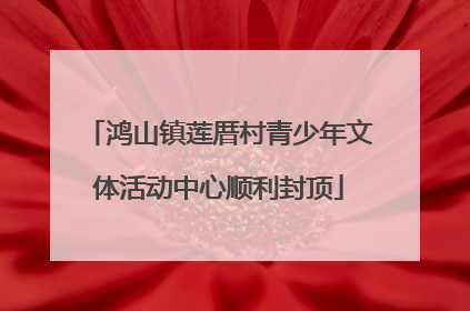 鸿山镇莲厝村青少年文体活动中心顺利封顶