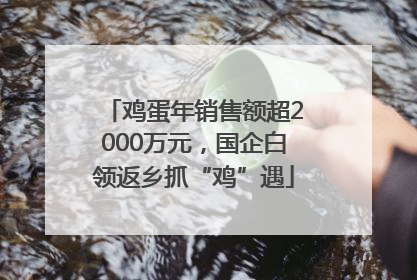 鸡蛋年销售额超2000万元，国企白领返乡抓“鸡”遇