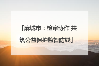 麻城市：检审协作 共筑公益保护监督防线