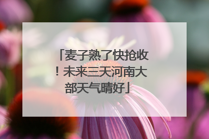 麦子熟了快抢收！未来三天河南大部天气晴好