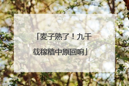 麦子熟了！九千载稼穑中原回响