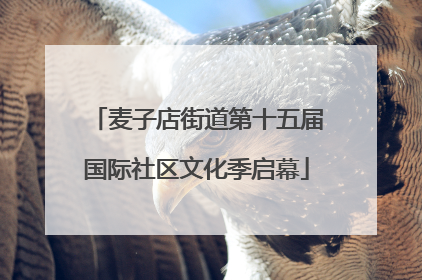 麦子店街道第十五届国际社区文化季启幕