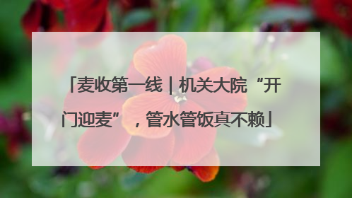 麦收第一线｜机关大院“开门迎麦”，管水管饭真不赖