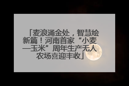 麦浪涌金处，智慧绘新篇！河南首家“小麦—玉米”周年生产无人农场喜迎丰收