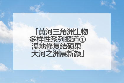 黄河三角洲生物多样性系列报道①湿地修复结硕果 大河之洲展新颜