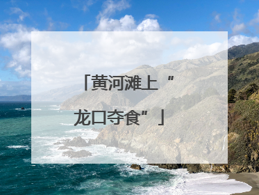 黄河滩上“龙口夺食”