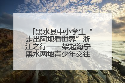 黑水县中小学生“走出阿坝看世界”浙江之行——架起海宁黑水两地青少年交往交流交融新桥梁