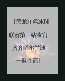 黑龙江省冰球联赛第二站收官 齐齐哈尔兰迪一队夺冠