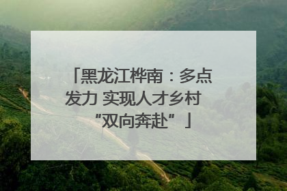 黑龙江桦南：多点发力 实现人才乡村“双向奔赴”
