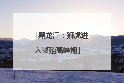 黑龙江：狮虎进入繁殖高峰期